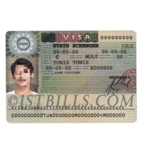 欧盟| 法国VISA签证卡/身份验证卡 France PSD模板/Photoshop/PS
