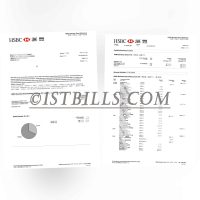 香港汇丰银行 商务户口银行账单 公司地址证明 收入 资产证明 Hong Kong HSBC Business Account Bank Statement Company Address Proof Income Asset Proof
