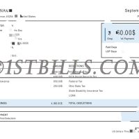 美国收入证明 工资单 收入来源 U.S. income certificate pay slip income source