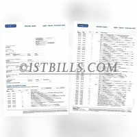 意大利Fineco Bank银行账单地址证明  Proof of address from Fineco Bank, Italy