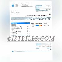 挪威地址证明Clean Energy Invest AS电费账单 Norwegian proof of address Clean Energy Invest AS electricity bill