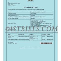 肯尼亚营业执照pdf模板 Kenya Business Registration Certificate pdf