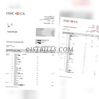英国汇丰银行账单 HSBC UK Bank Statement（英国地址证明）