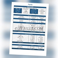 收入来源证明 Wise收入证明 China基本工资单 带公司名字 中/英文拼音名 Payslip Salary（收入证明）1