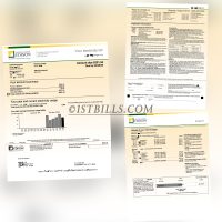 加拿大EDISON电费账单 地址证明  Canada Proof of Address EDISON Electricity