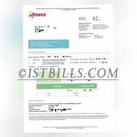 比利时地址证明eneco电费燃气账单 Belgian proof of address eneco electricity and gas bill