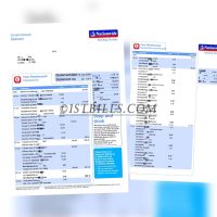 英国全国银行账单 Nationwide Bank Statement（英国地址证明）