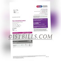 英国电费账单 地址证明 npower电费 UK electricity bill Proof of address npower electricity bill