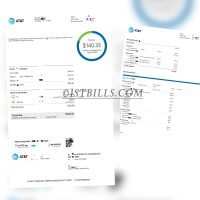 美国地址证明 AT&T电信公司网费账单 Internet Bill