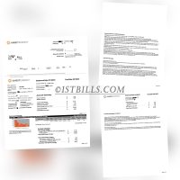 美国地址证明 电费账单 AMBITENERGY Electric Bill