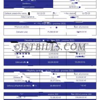 捷克工资单 捷克语收入来源证明 熊猫速汇 Pandaremit Wise Czech Republic Payslip 收入证明  Payslip Salary 带公司名字 中/英文拼音名（收入证明）