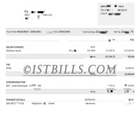 澳洲收入证明工资单 Australian income proof pay slip