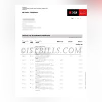 新加坡星展银行 DBS 公司银行账单 地址证明 Singapore DBS Bank DBS Corporate Bank Statement Proof of Address