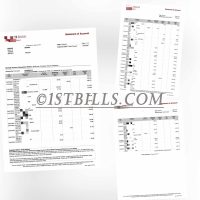 东南亚 马来西亚银行账单 Malaysia CIMB Bank Statement 马来西亚地址证明pdf