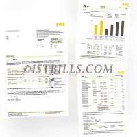 德国地址证明 德国EWE电费账单 Germany EWE Electricity Utility Bill Proof Of Address