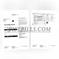 英国地址证明 Octopus电费燃气账单 UK Octopus Electricity Gas Utility Bill Proof of Address PDF