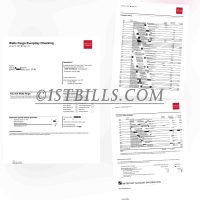 富国银行账单 工资流水账单 Wells Fargo Bank Statement Salary Statement（美国收入证明）