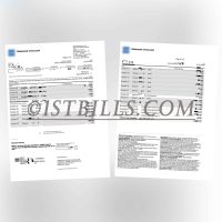 美国运通信用卡账单 地址证明 American Express credit card statement Proof of address
