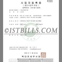 韩国公司营业执照pdf模板 South Korea Company Certificate pdf