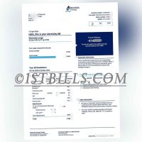 爱尔兰地址证明 Bord Gáis Energy 电费账单 Proof of address in Ireland Bord Gáis Energy electricity bill