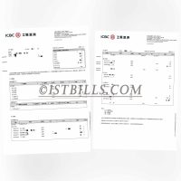香港工银亚洲银行账单 带工资流水 ICBC HK Bank Statement PDF