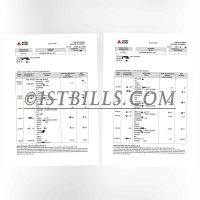 东南亚｜马来西亚AGRO银行账单 地址证明 Southeast Asia | Malaysia AGRO Bank Statement Proof of Address