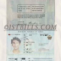 韩国护照 South Korea PassportPS/Photoshop/PSD模板