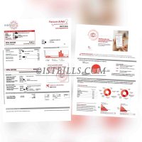 西班牙地址证明 viesgo电费账单西班牙语 Spain Proof of Address electricity bill（欧盟地址证明）