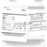 美国花旗银行账单 CITI Bank Statement（美国地址证明）