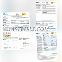 美国加州LADWP电费账单 地址证明 California LADWP electricity bill address proof