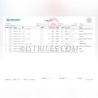 中国民生银行个人账户 工资流水对账单定制 Customized China Minsheng Bank Personal Account Salary Statement