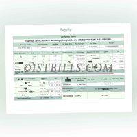 收入来源证明 时薪工资单 China Payslip 收入证明 Payslip Salary 带公司名字 中/英文拼音名（收入证明）