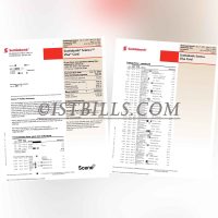 加拿大 丰业银行ScotiaBank账单 Bank Statement（加拿大地址证明）