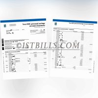 加拿大皇家银行 带工资流水账单 RBC Bank with salary statement