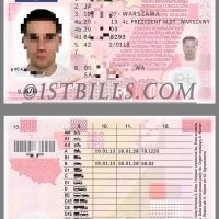 欧盟|Poland Driver License Template波兰驾照/驾驶证PS/PSD模板（打印版）