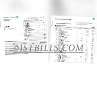 香港渣打银行账单 Hongkong Standard Chartered Bank Statement PDF（香港地址证明）