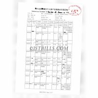 China银行账单 带工资一个月内流水证明 带中/英文拼音名  China bank statement with salary and proof of income source