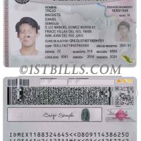 北美| 墨西哥选民证/卡/地址证明 Mexico Elect ID Card PS/Photoshop/PSD模板