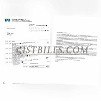 德国 VolksBank银行账单 欧盟地址证明 Germany VolksBank Statement PDF