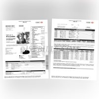 HSBC MX 墨西哥银行账单 地址证明 HSBC MX Mexican Bank Statement - Proof of Address