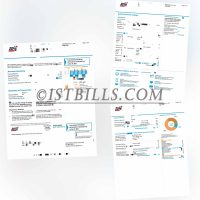 美国公司地址证明 加州电费账单 US SDGE Electricity bill（地址证明）