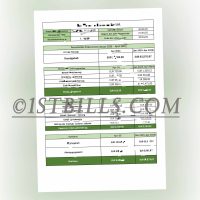 奥地利收入证明工资单 德语收入来源证明 Austrian Income Certificate Pay Slip German Income Certificate