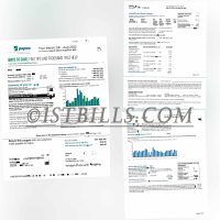 美国马里兰州 Pepco电费账单 Maryland Pepco Electricity Bill