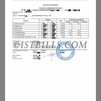 乌克兰地址证明 Ukraine Todo Bank Utility Statement 乌克兰水电物业银行账单PDF