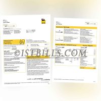 意大利eni电费天然气综合账单地址证明 Italian ENI electricity and natural gas bill proof of address
