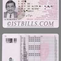 北欧| 挪威驾照Norway DL/驾驶证PS/PSD模板（V1）