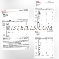 马来西亚 华侨银行账单 地址证明 Malaysia OCBC Bank Statement Proof of Address