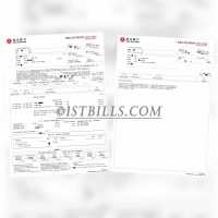 香港恒生银行信用卡账单 地址证明 Hong Kong Proof of Address Hang Seng Bank Statement PDF