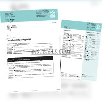 英国电费燃气费账单UK Edfenergy Electricity Gas bill 2