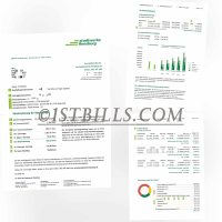 德国地址证明 德国Stadtwerke Flensburg电费账单 Germany Stadtwerke Flensburg Electricity Utility Bill Proof Of Address
